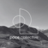 Logo pace_collective