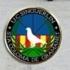 Logo U.C. SINGUERLIN