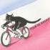 Logo Cat Rides NW