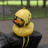 Logo Duck Fleet Athletic Club